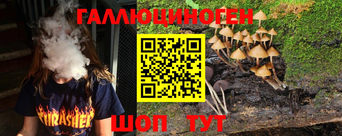 Псилоцибиновые грибы GOLDEN TEACHER  Галлюциногенные грибы ЛСД  Губкин  Вход с VPN 